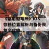 《辐射避难所》iOS存档位置解析与备份恢复全攻略