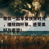 带你一起享受快乐时光，播放四叶草，感受美好与希望！