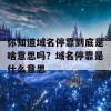 你知道域名停靠到底是啥意思吗？域名停靠是什么意思