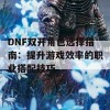 DNF双开角色选择指南：提升游戏效率的职业搭配技巧