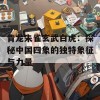 青龙朱雀玄武白虎：探秘中国四象的独特象征与力量