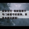 甜蜜惩罚～我就是那只专门被看守的宠物，真是有趣又甜蜜！