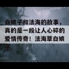 白娘子和法海的故事，真的是一段让人心碎的爱情传奇！法海草白娘子