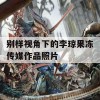 别样视角下的李琼果冻传媒作品照片