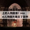 让我们来看看zoom上的人物图像！zoom人物图片展示了各种风格与个性！