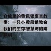 仓库里的黄鼠狼寓言故事：一只小黄鼠狼教会我们的生存智慧与陷阱教训