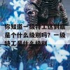 你知道一级特工这到底是个什么级别吗？一级特工是什么级别