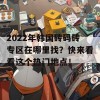 2022年韩国砖码砖专区在哪里找？快来看看这个热门地点！