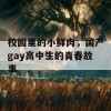 校园里的小鲜肉，国产gay高中生的青春故事