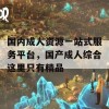 国内成人资源一站式服务平台，国产成人综合这里只有精品