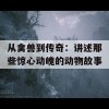 从禽兽到传奇：讲述那些惊心动魄的动物故事