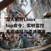 深入解析Linux top命令：实时监控系统进程与资源使用