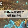 如果mini密码忘了，咱该怎么办呢？