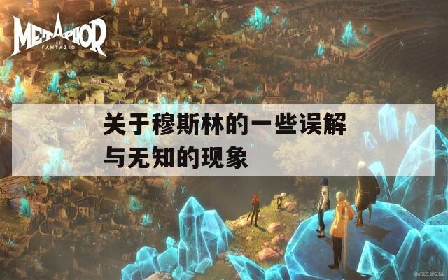 关于穆斯林的一些误解与无知的现象