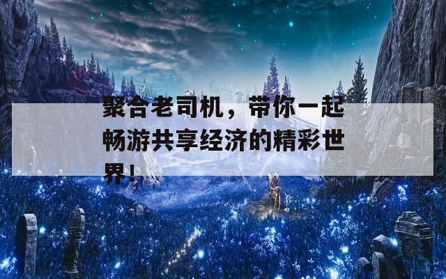 聚合老司机，带你一起畅游共享经济的精彩世界！