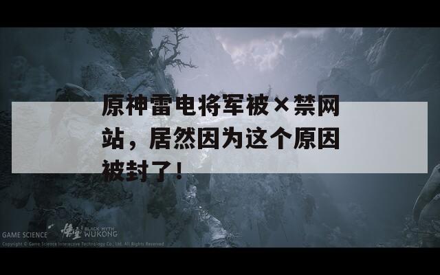 原神雷电将军被×禁网站，居然因为这个原因被封了！