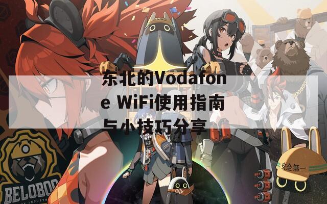 东北的Vodafone WiFi使用指南与小技巧分享