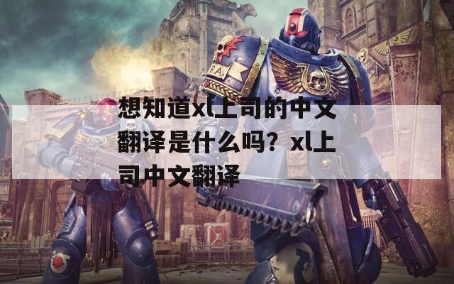 想知道xl上司的中文翻译是什么吗？xl上司中文翻译