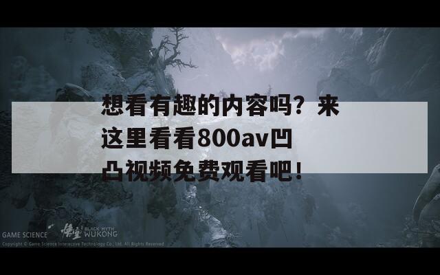 想看有趣的内容吗？来这里看看800av凹凸视频免费观看吧！