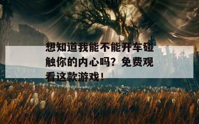 想知道我能不能开车碰触你的内心吗？免费观看这款游戏！