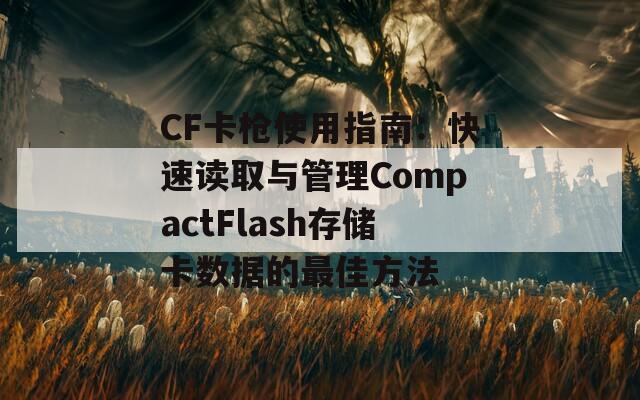 CF卡枪使用指南：快速读取与管理CompactFlash存储卡数据的最佳方法