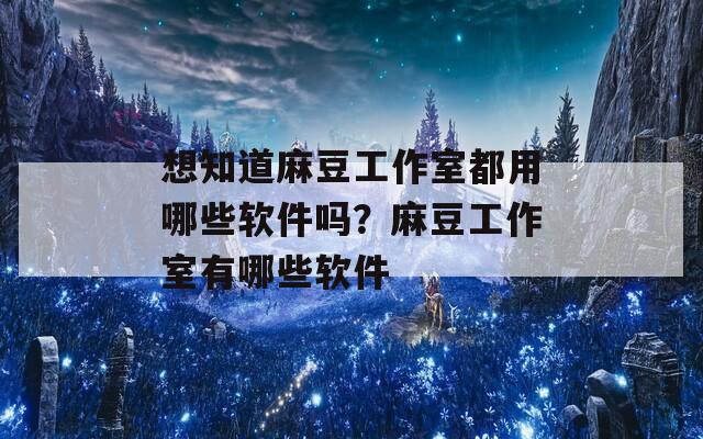 想知道麻豆工作室都用哪些软件吗？麻豆工作室有哪些软件