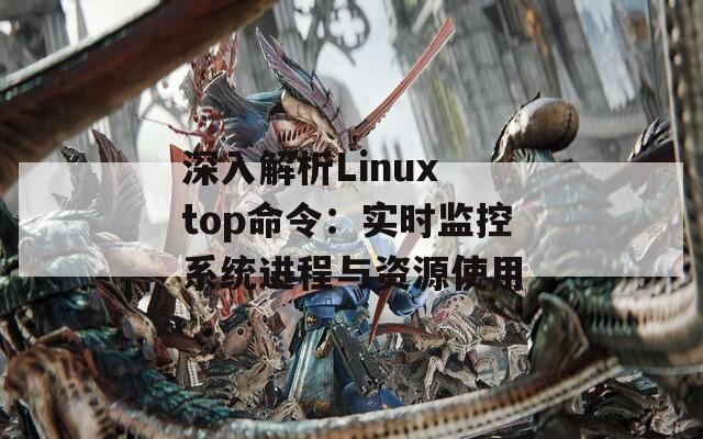 深入解析Linux top命令：实时监控系统进程与资源使用