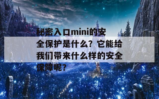 秘密入口mini的安全保护是什么？它能给我们带来什么样的安全保障呢？