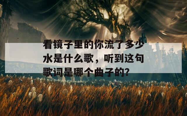 看镜子里的你流了多少水是什么歌，听到这句歌词是哪个曲子的？