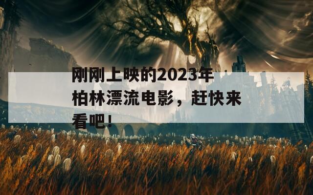 刚刚上映的2023年柏林漂流电影，赶快来看吧！