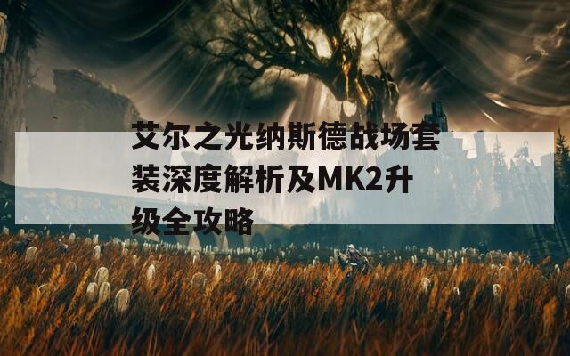 艾尔之光纳斯德战场套装深度解析及MK2升级全攻略