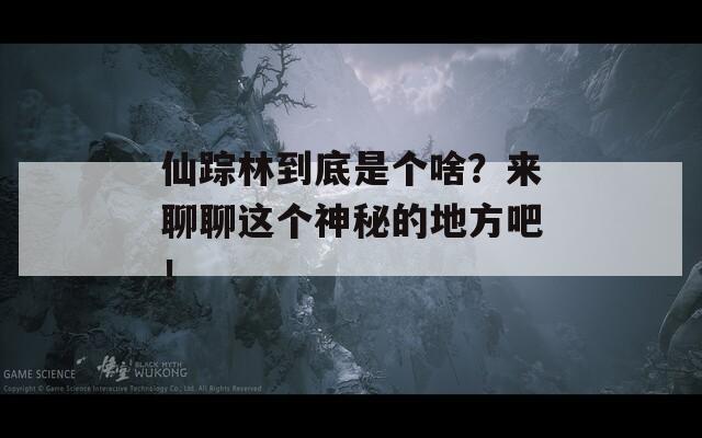 仙踪林到底是个啥？来聊聊这个神秘的地方吧！