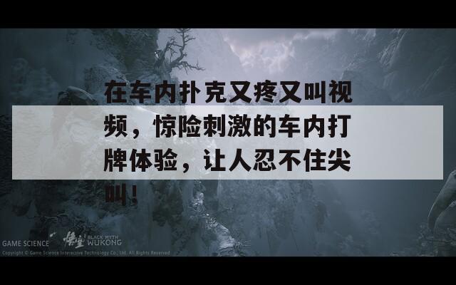 在车内扑克又疼又叫视频，惊险刺激的车内打牌体验，让人忍不住尖叫！