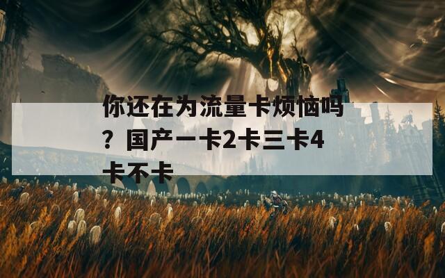 你还在为流量卡烦恼吗？国产一卡2卡三卡4卡不卡