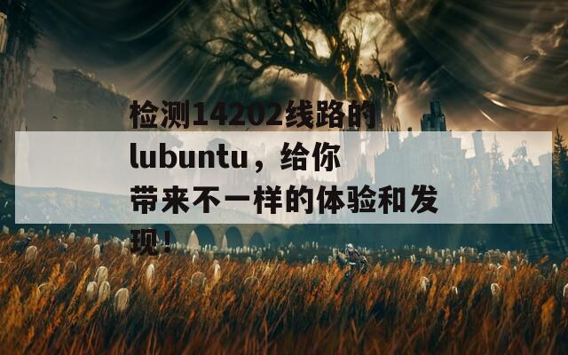 检测14202线路的lubuntu，给你带来不一样的体验和发现！