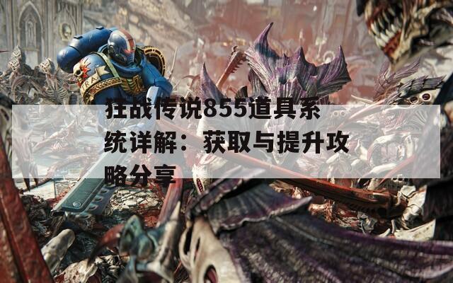 狂战传说855道具系统详解：获取与提升攻略分享