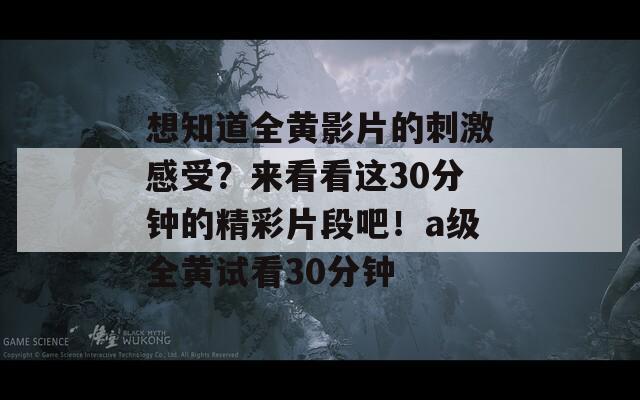 想知道全黄影片的刺激感受？来看看这30分钟的精彩片段吧！a级全黄试看30分钟