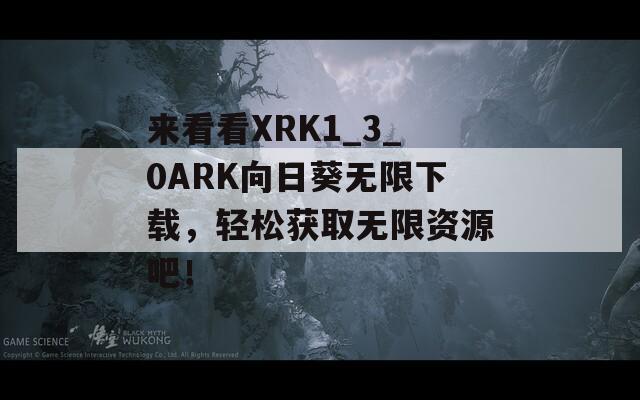 来看看XRK1_3_0ARK向日葵无限下载，轻松获取无限资源吧！